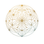 Kora Intelligence logo